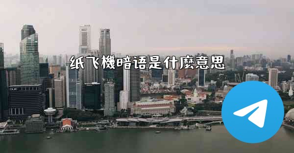 纸飞機暗语是什麼意思