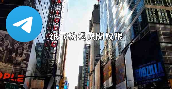 纸飞機怎麼開权限