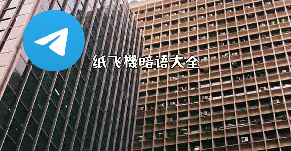 纸飞機暗语大全