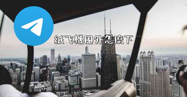 纸飞機國外怎麼下