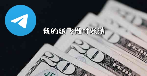 我的纸飞機叶炫清