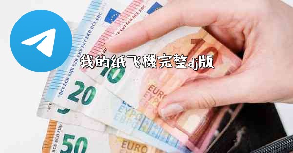 我的纸飞機完整dj版