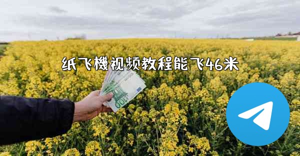 纸飞機视频教程能飞46米