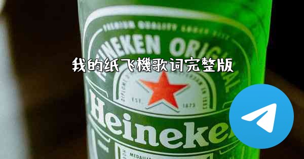 我的纸飞機歌词完整版