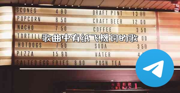 歌曲中有纸飞機词的歌