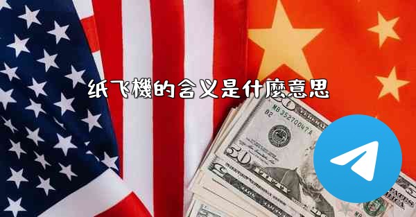 纸飞機的含义是什麼意思