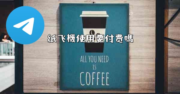 纸飞機使用要付费嗎