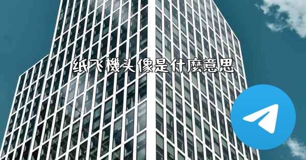 纸飞機头像是什麼意思