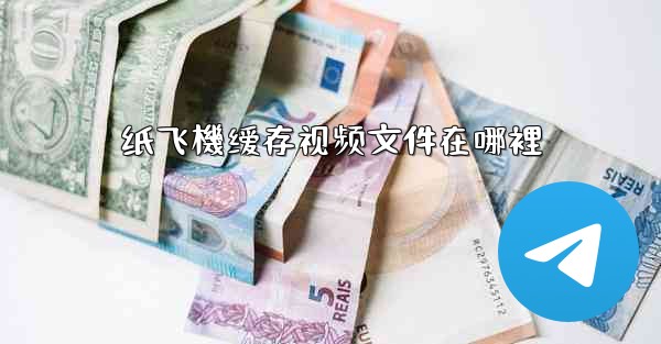 纸飞機缓存视频文件在哪裡