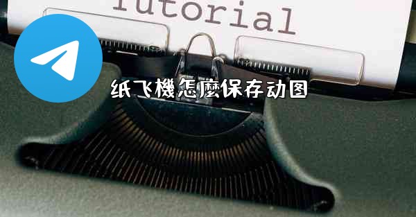 纸飞機怎麼保存动图