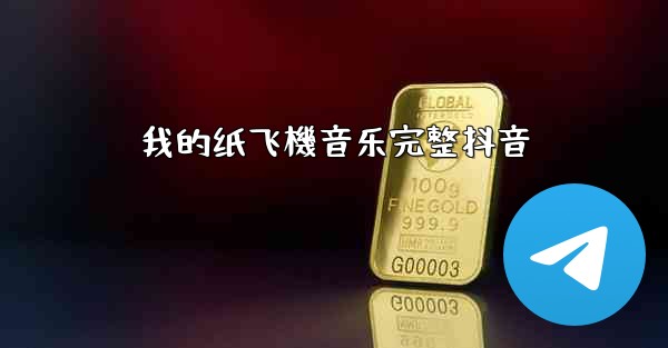 我的纸飞機音乐完整抖音