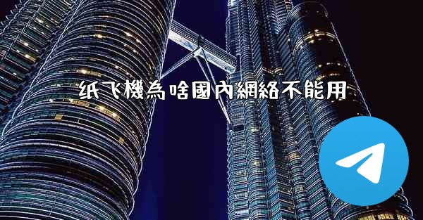 纸飞機為啥國內網絡不能用