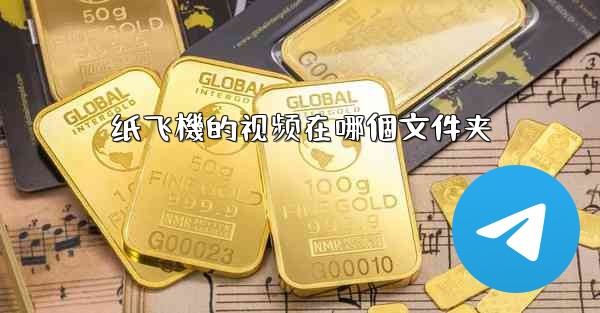 纸飞機的视频在哪個文件夹