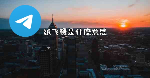 纸飞機是什麼意思