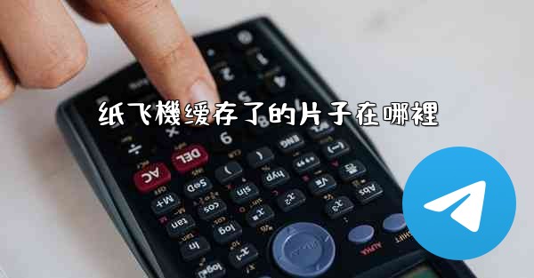 纸飞機缓存了的片子在哪裡