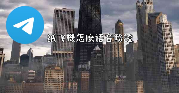 纸飞機怎麼语音驗證