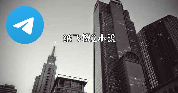 纸飞機2小說