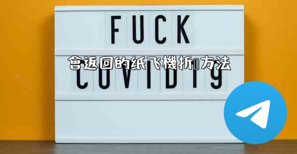 會返回的纸飞機折叠方法