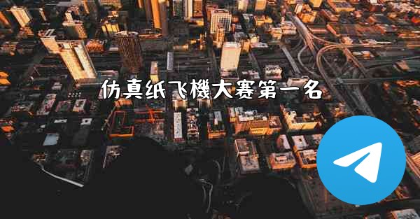 仿真纸飞機大赛第一名