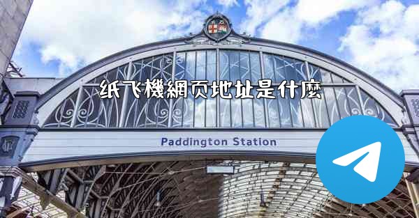 纸飞機網页地址是什麼