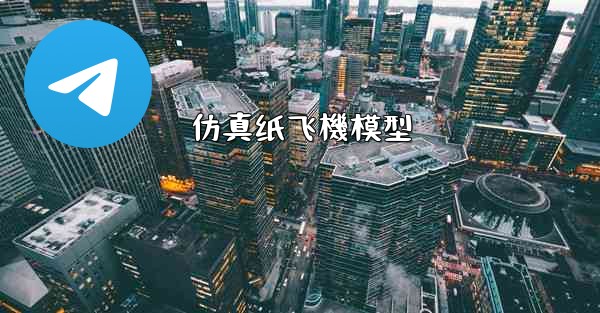 仿真纸飞機模型