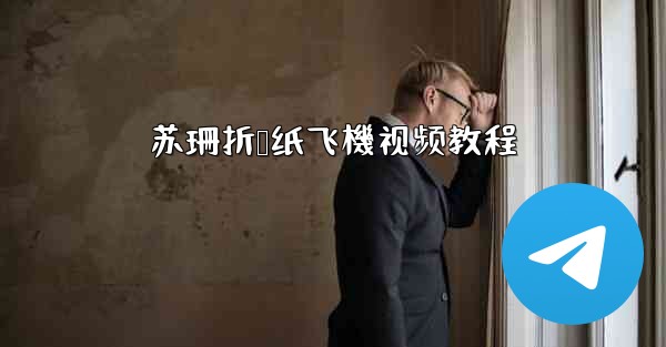 苏珊折叠纸飞機视频教程