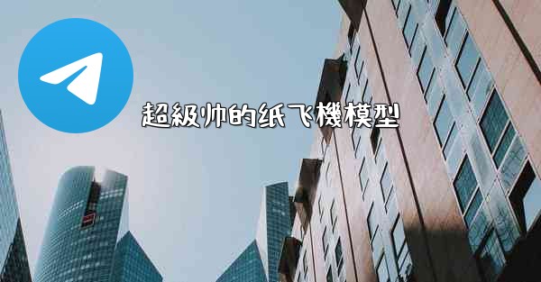 超級帅的纸飞機模型