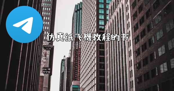 仿真纸飞機教程的书