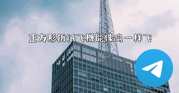 正方形折纸飞機能像鸟一样飞