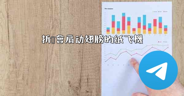 折叠會扇动翅膀的纸飞機