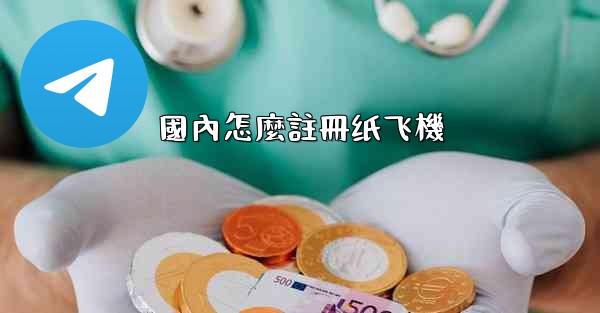 國內怎麼註冊纸飞機