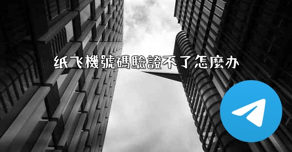 纸飞機號碼驗證不了怎麼办
