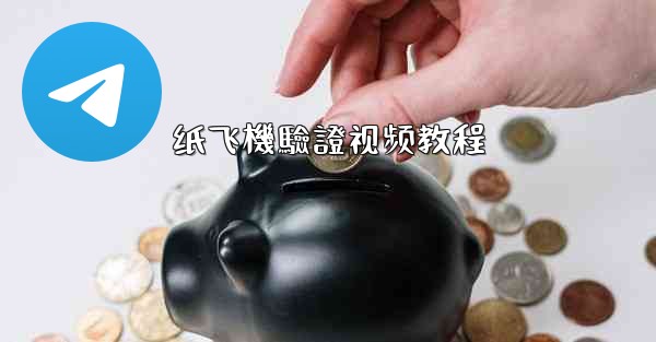 纸飞機驗證视频教程