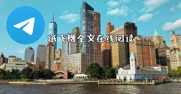 纸飞機全文在线阅读