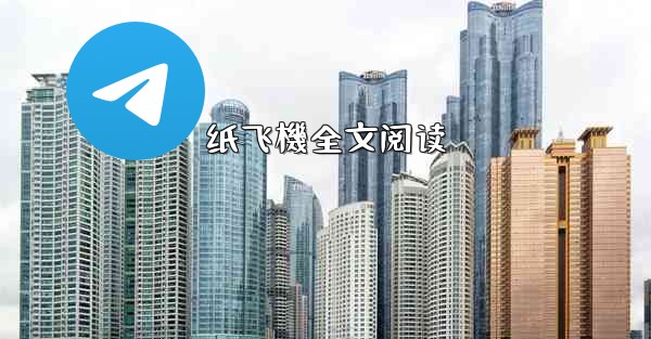 纸飞機全文阅读