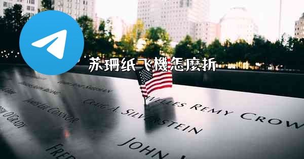 苏珊纸飞機怎麼折