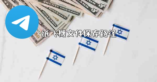 纸飞機文件保存路径