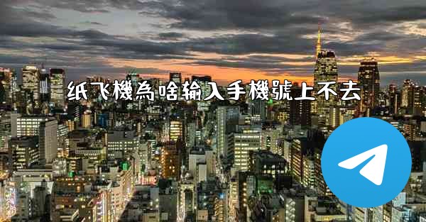 纸飞機為啥输入手機號上不去