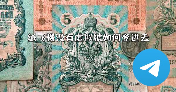 纸飞機没有虚拟號如何登进去