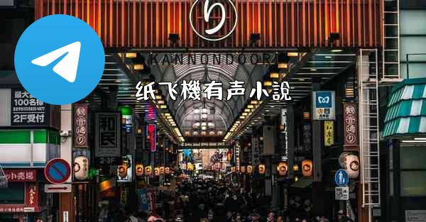 纸飞機有声小說