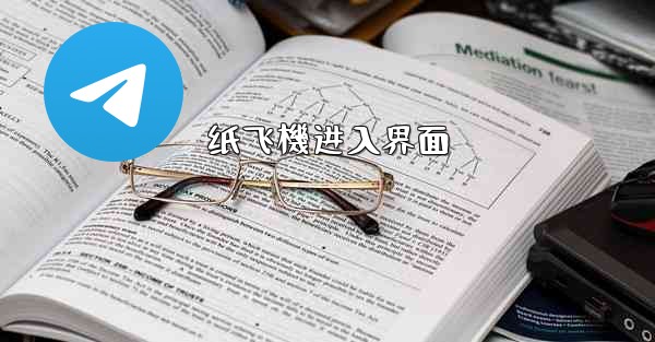 纸飞機进入界面