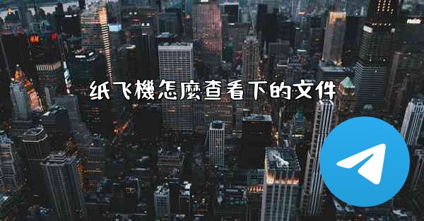 纸飞機怎麼查看下的文件