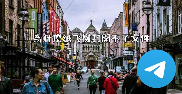 為什麼纸飞機打開不了文件