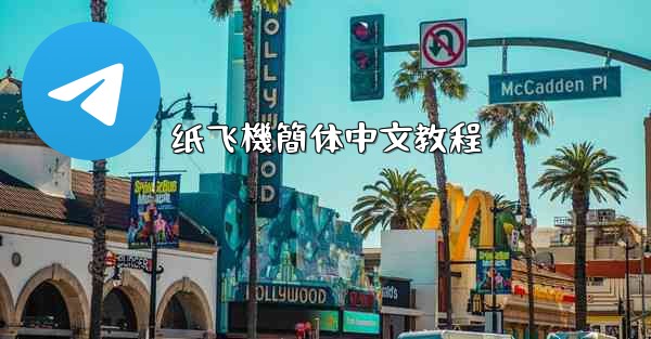 纸飞機簡体中文教程