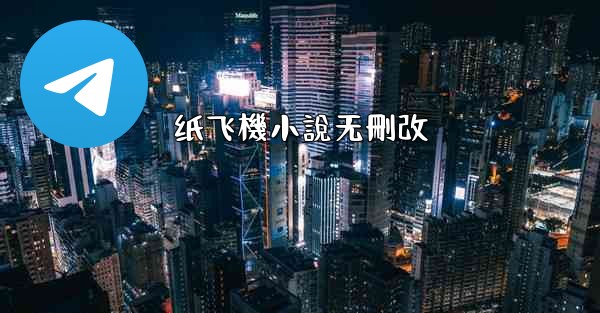 纸飞機小說无刪改