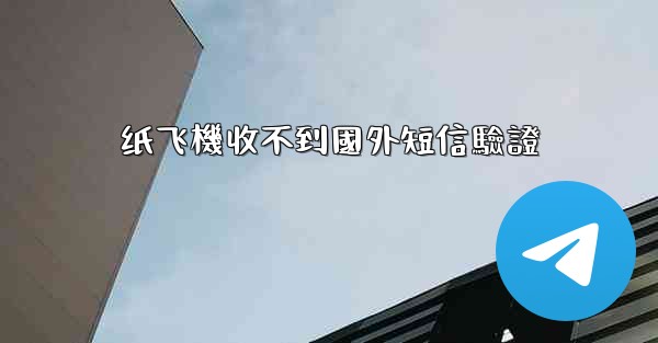 纸飞機收不到國外短信驗證