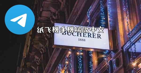 纸飞機手機端改中文