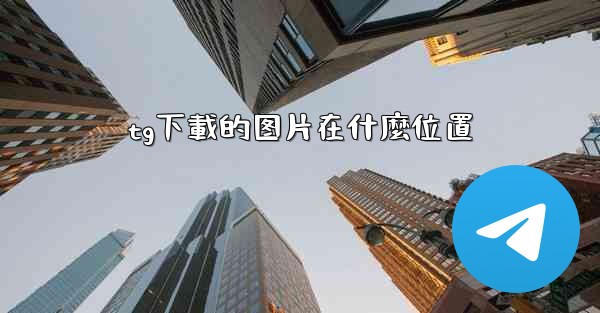 tg下載的图片在什麼位置