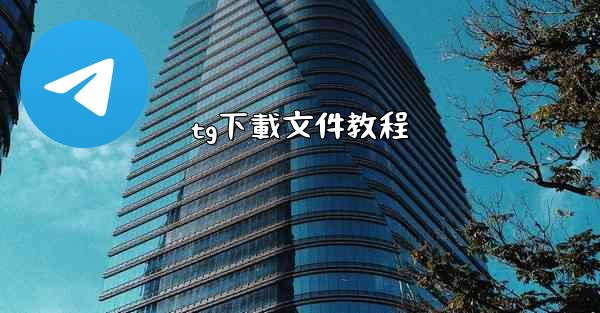 tg下載文件教程