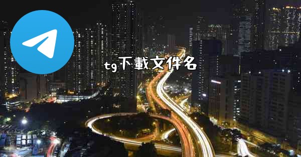 tg下載文件名